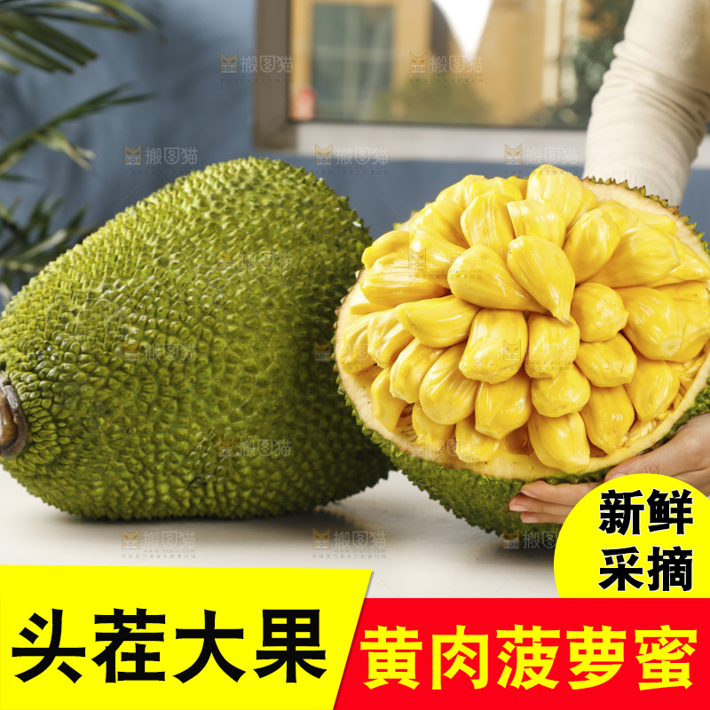 手里抱着海南黄肉菠萝蜜