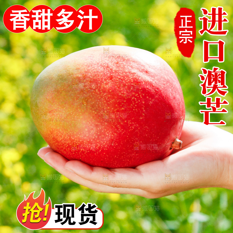手里拿着澳芒