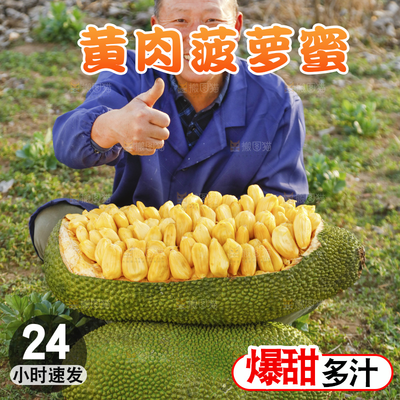 新鲜黄肉菠萝蜜