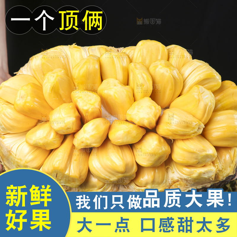 手里捧着海南菠萝蜜