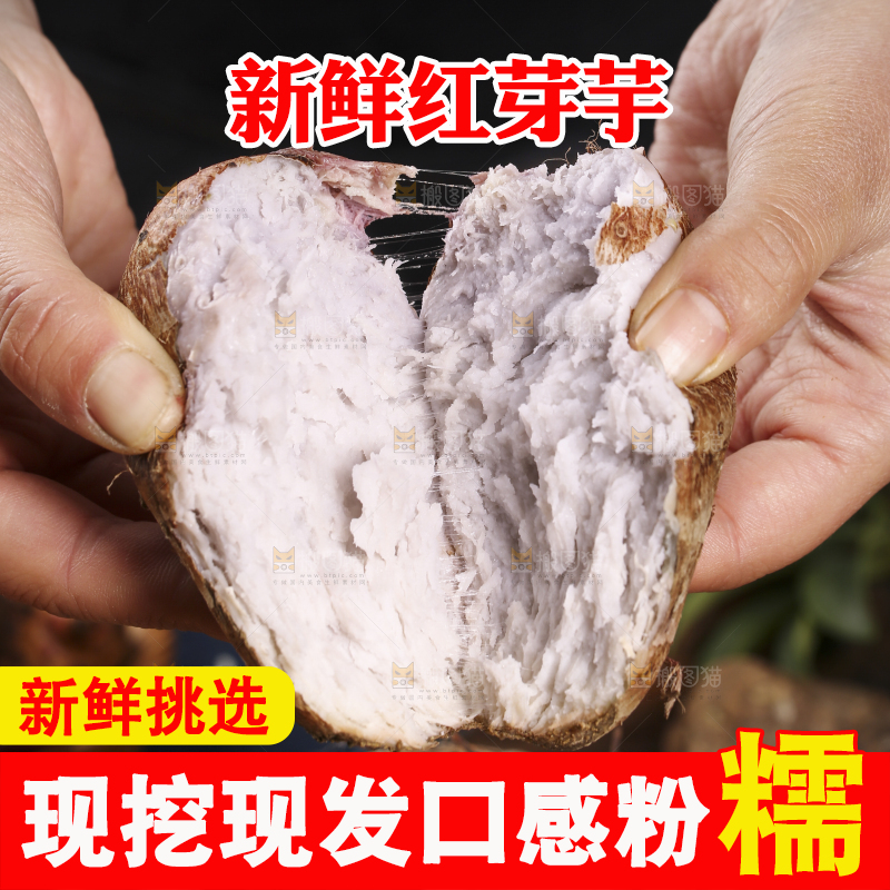手里拿着熟的小芋头