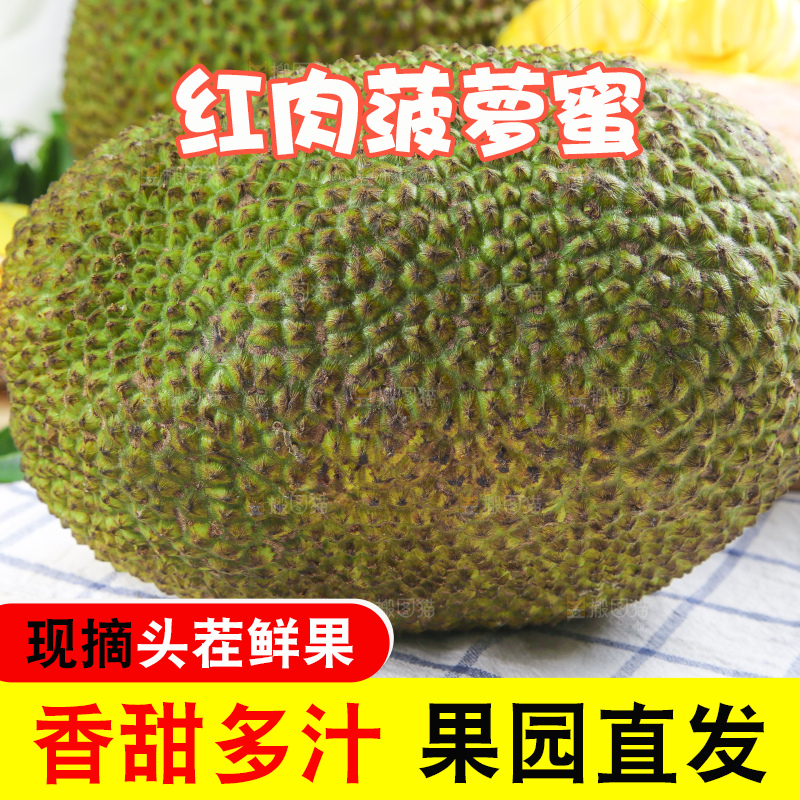 格子底上放着一个完整的菠萝蜜