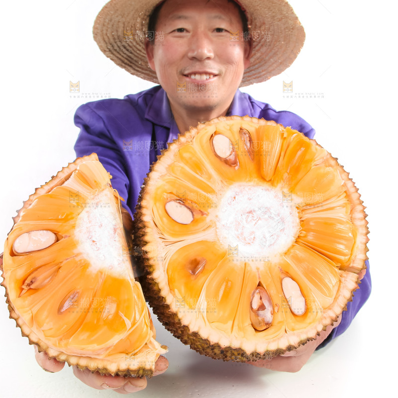 农民手里捧着菠萝蜜