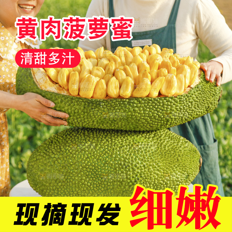 桌子上放着黄肉菠萝蜜