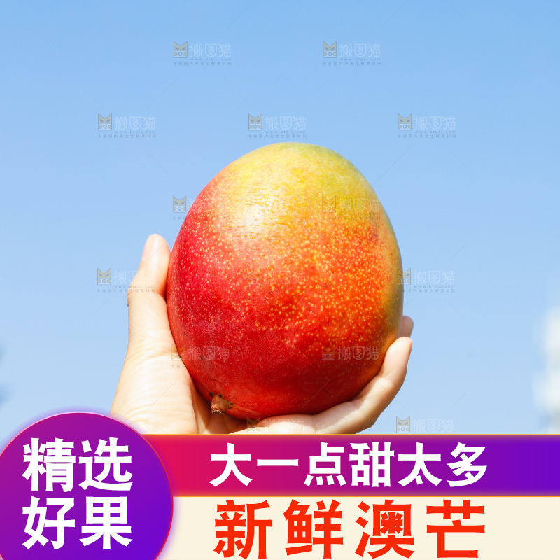 手里拿着澳芒