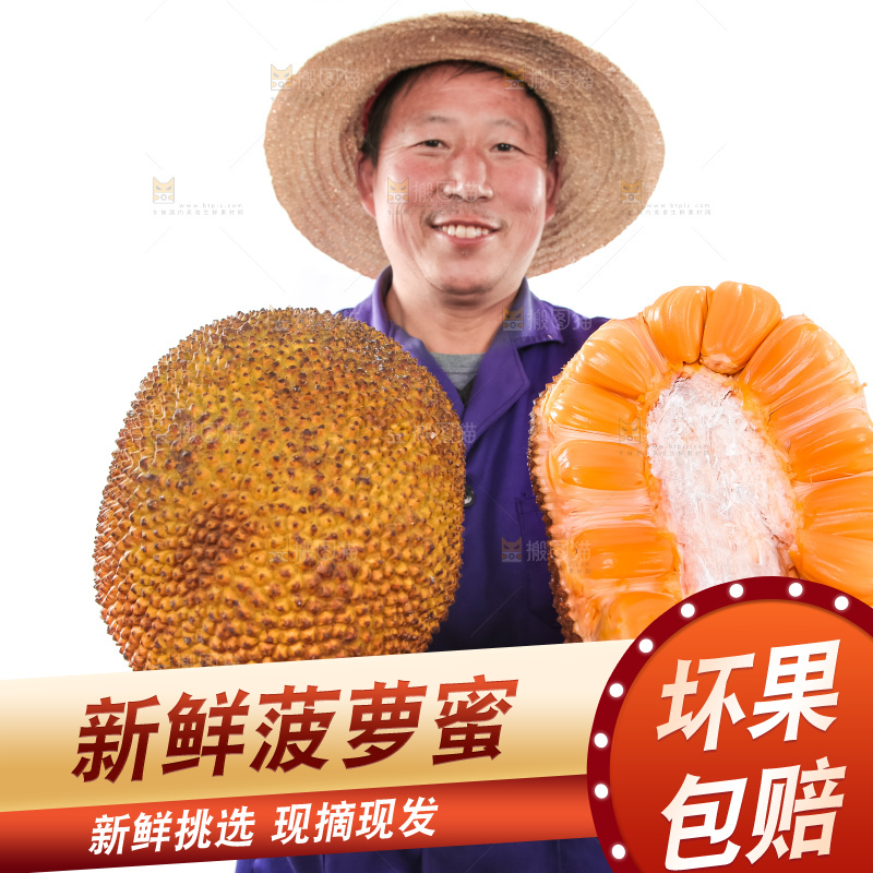 农民手里拿着红肉菠萝蜜