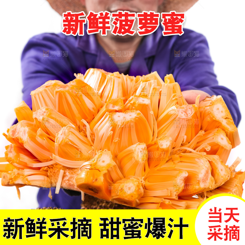 农民手里拿着红肉菠萝蜜