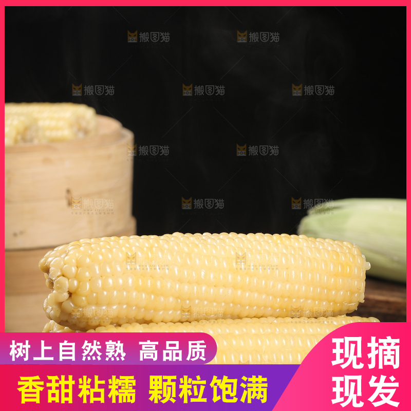 一盘东北白糯玉米