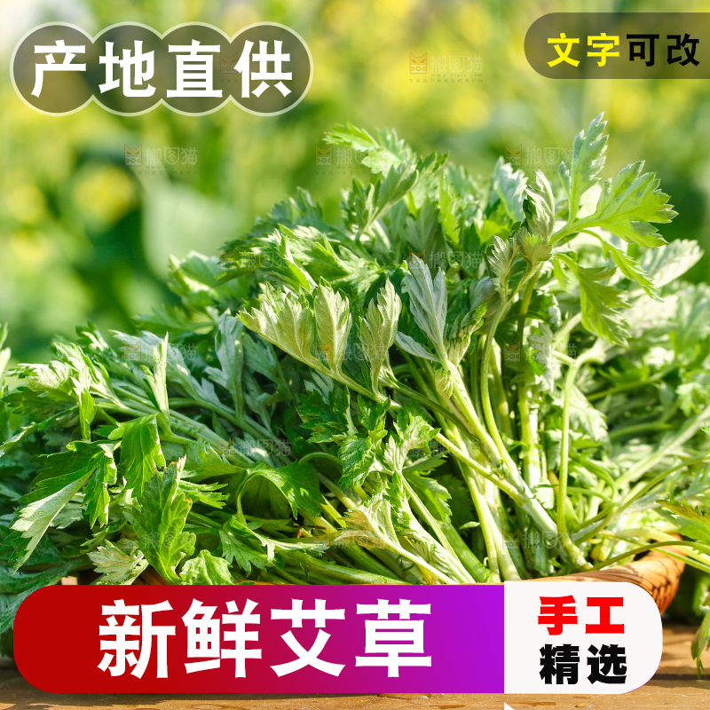 一篮新鲜艾叶