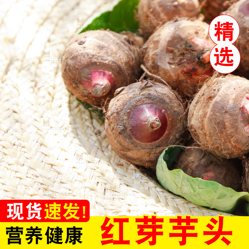 草帽里的小芋头