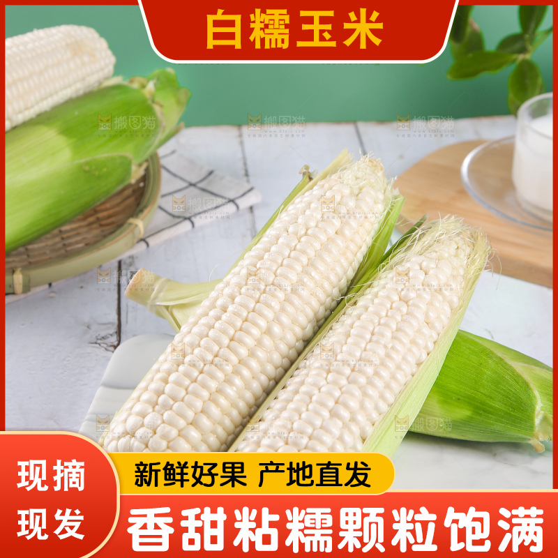 一堆白糯玉米棒