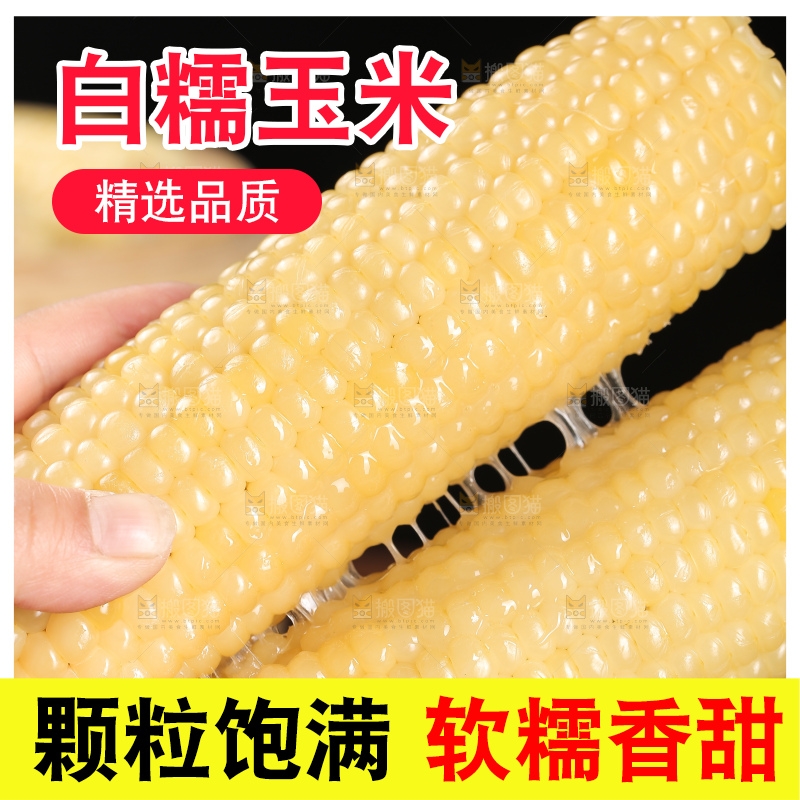 手里拿着白糯玉米棒
