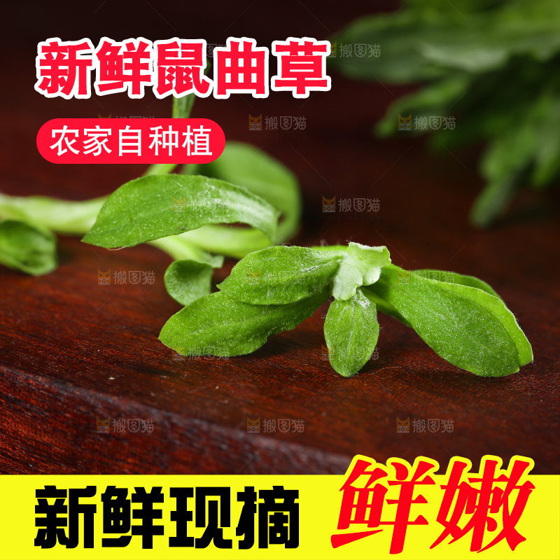 木底上的清明菜