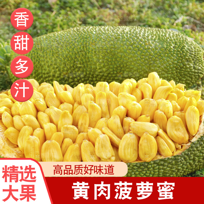 新鲜黄肉菠萝蜜
