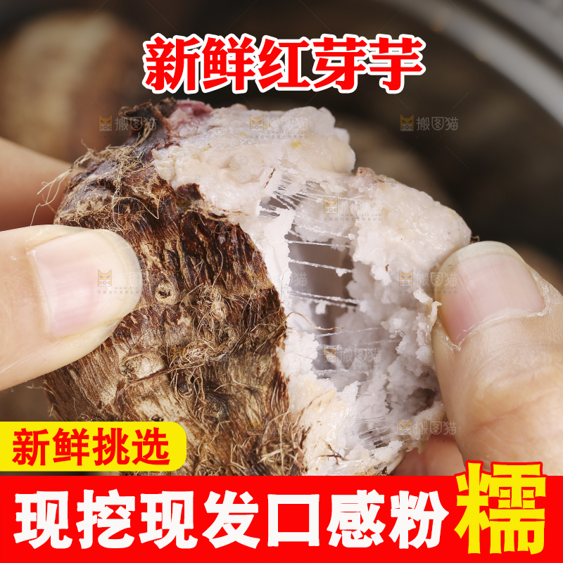 手里拿着蒸熟的小芋头