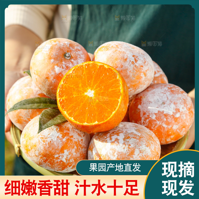 手里端着一篮广西茂谷柑