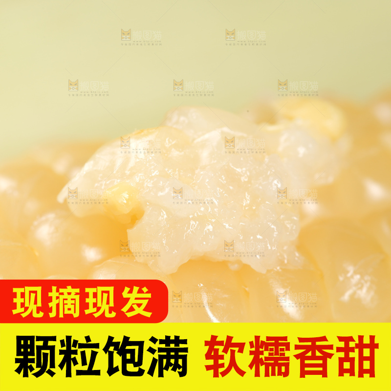 新鲜的甜糯玉米