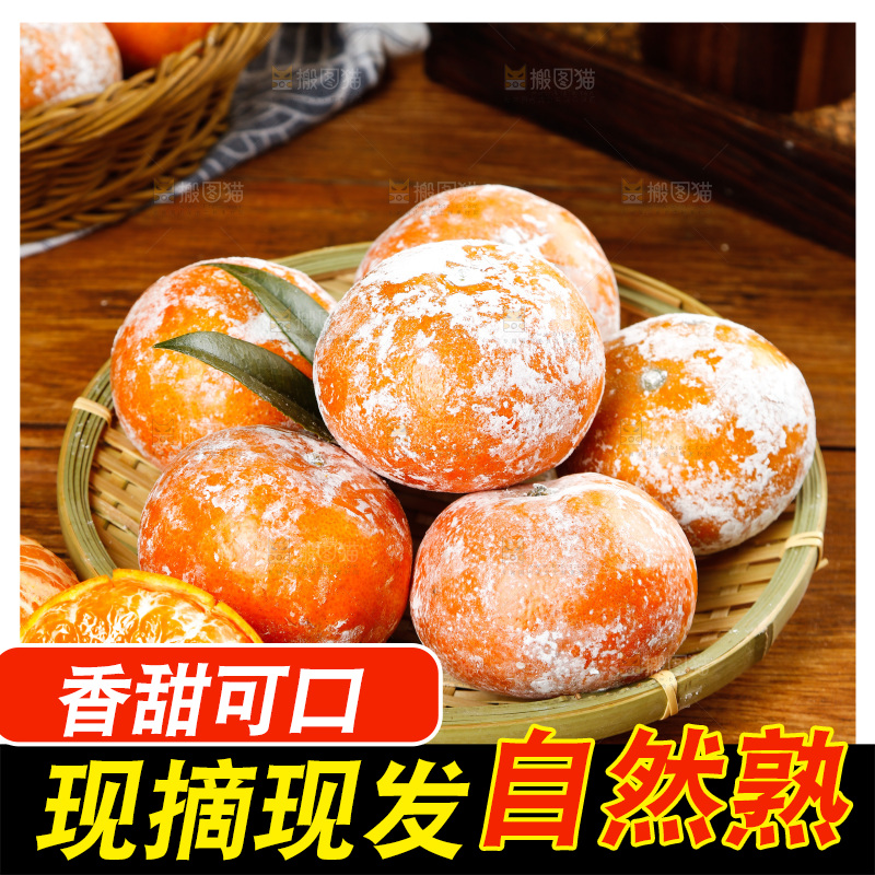 一篮广西茂谷柑
