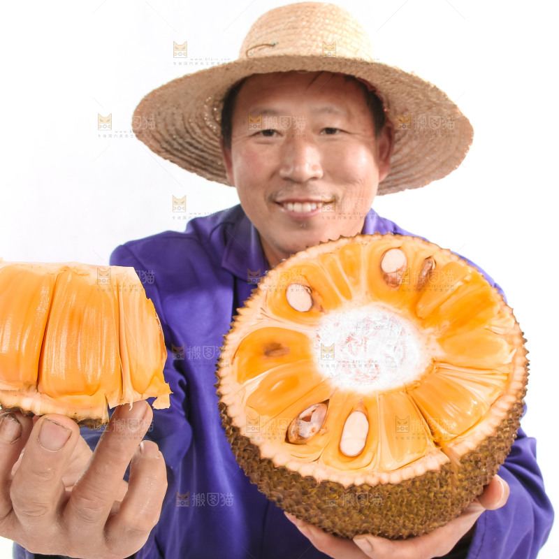 手里拿着红肉菠萝蜜