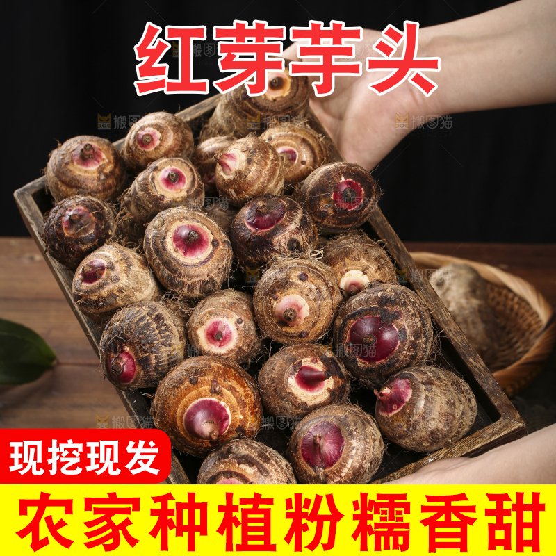 一盘广西红芽芋