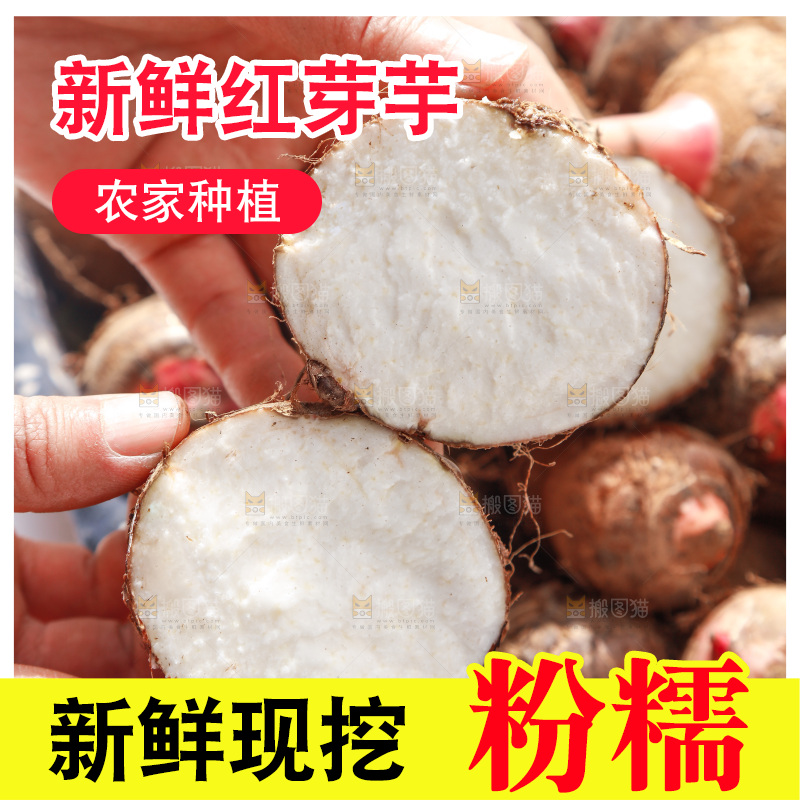 手里拿着切开的芋头