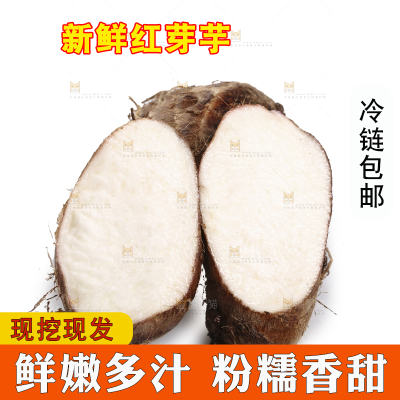 白底上的广西红芽芋