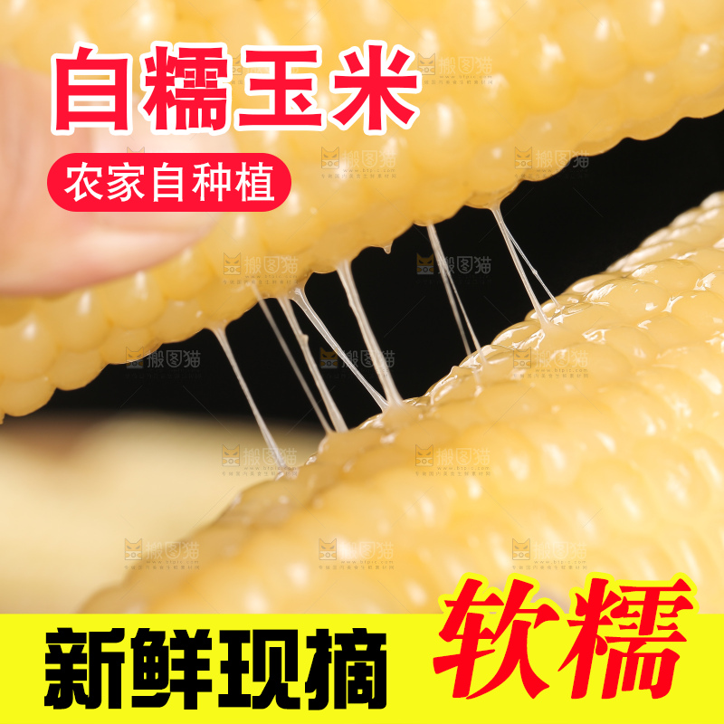 手里拿着白糯玉米棒