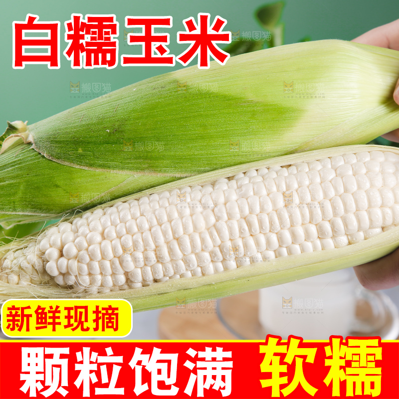 手里拿着白糯玉米