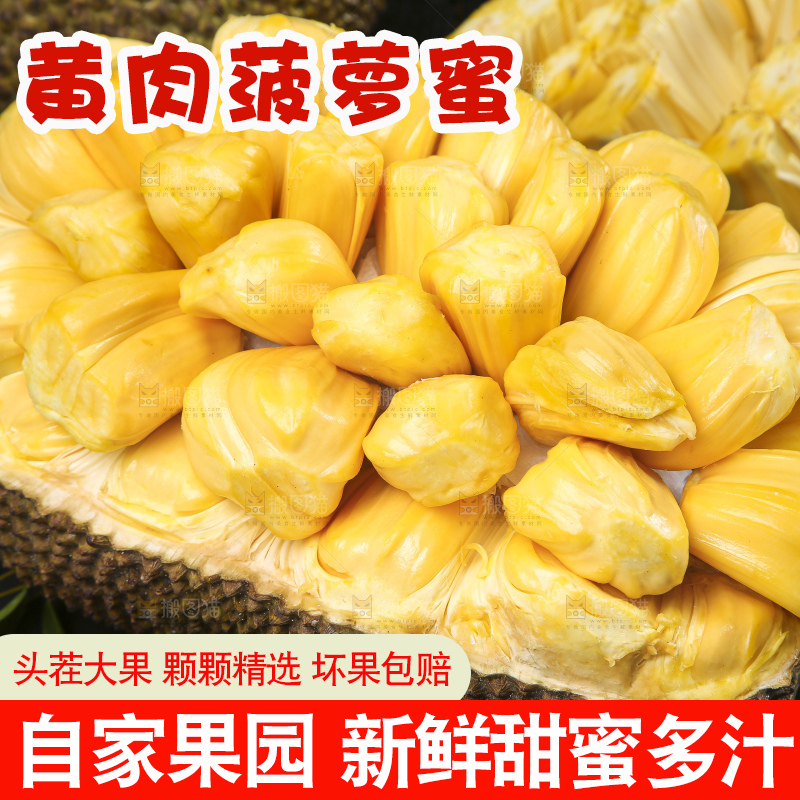 黑底上的黄肉菠萝蜜