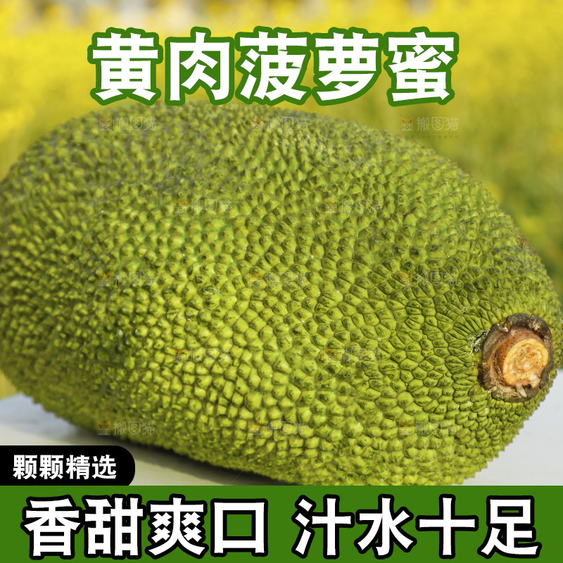 桌子上放着菠萝蜜