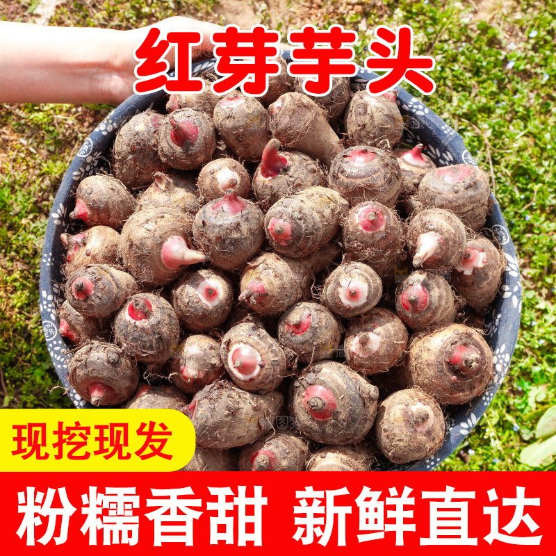 一篮新鲜红芽芋头