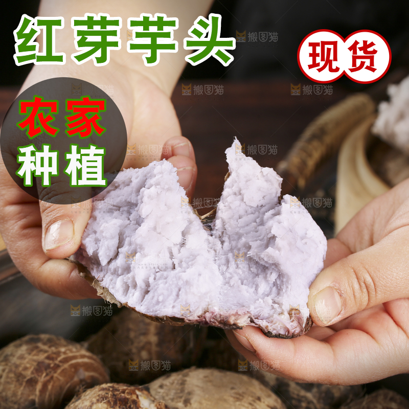手里拿着蒸熟的芋头