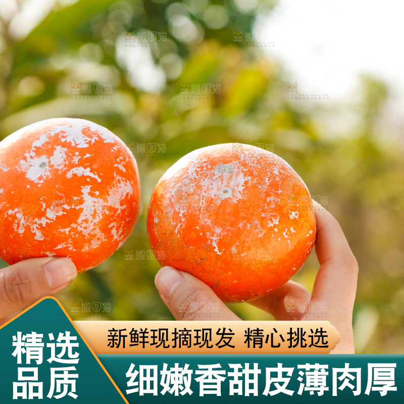 手里拿着脏脏柑
