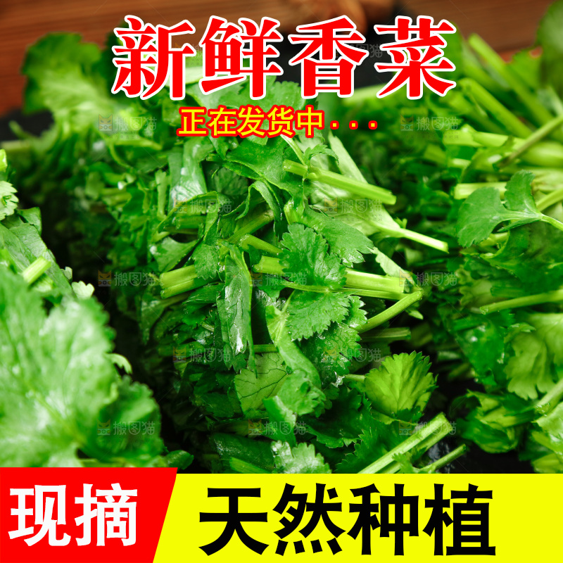 黑石板上切开的香菜