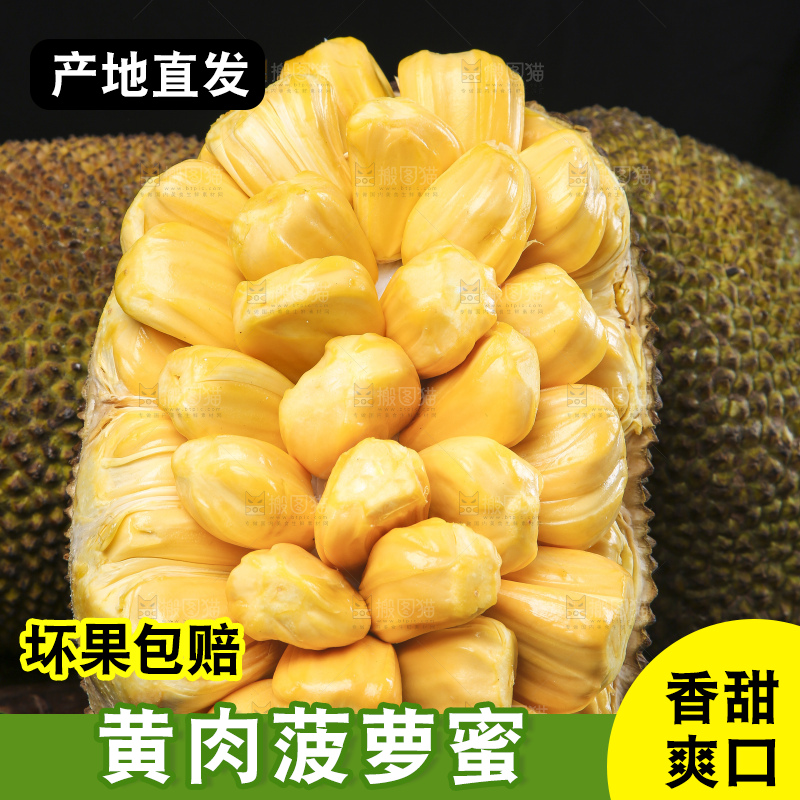 一堆黄肉菠萝蜜