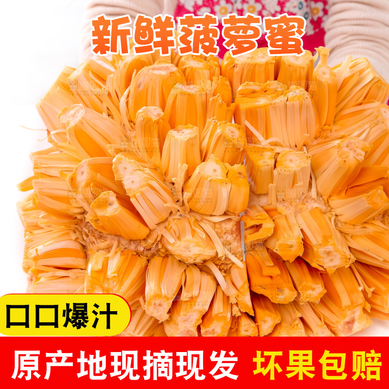 手里捧着红肉菠萝蜜