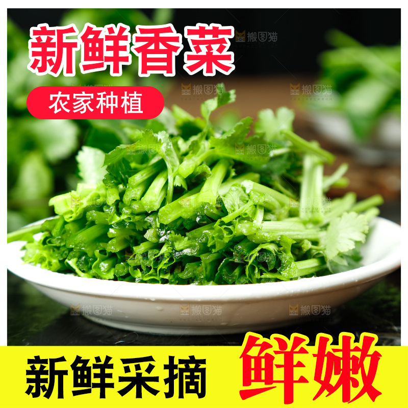 一盘香菜