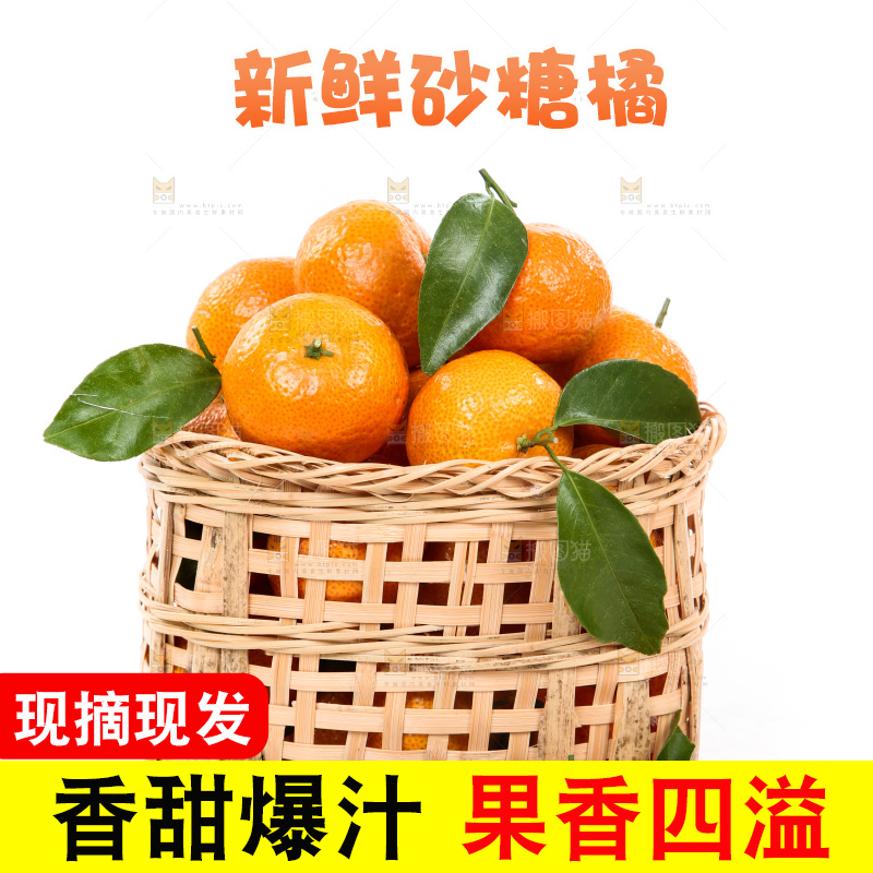筐子里的四会砂糖橘