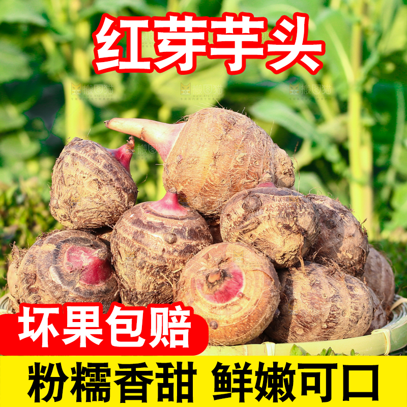 一篮红芽小芋头