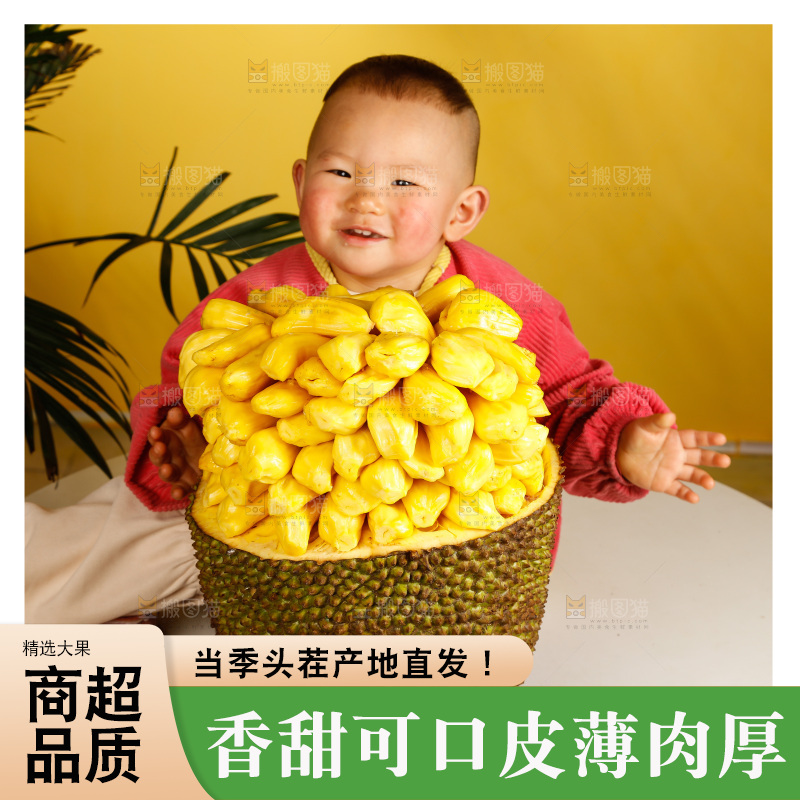 儿童和黄肉菠萝蜜