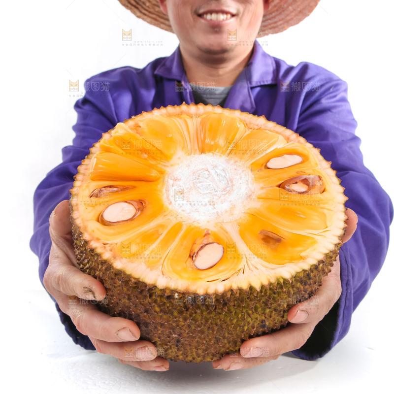 手里抱着半边泰国菠萝蜜