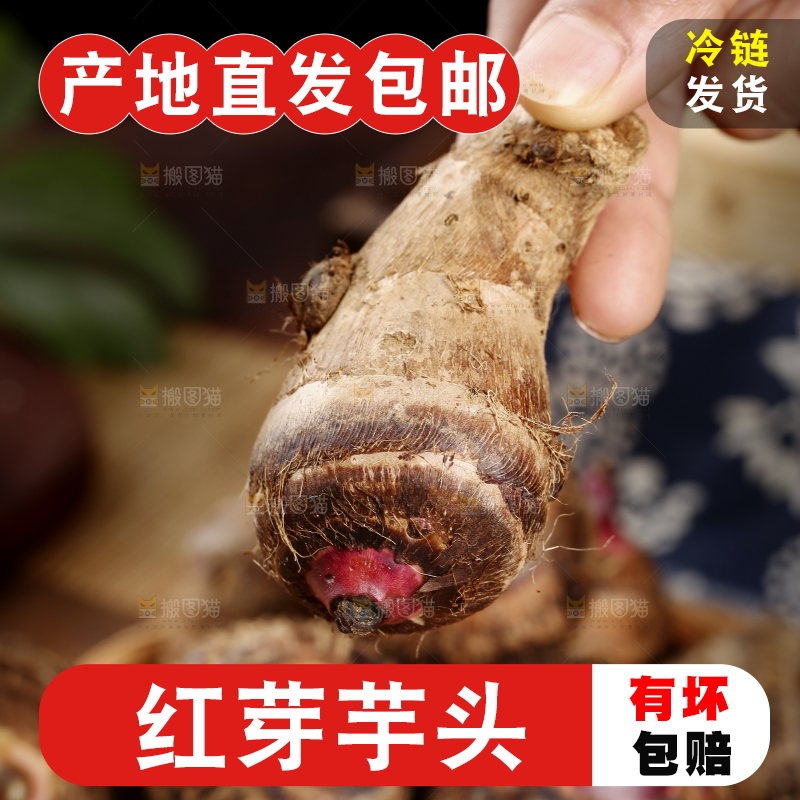 手里拿着红嘴芋头