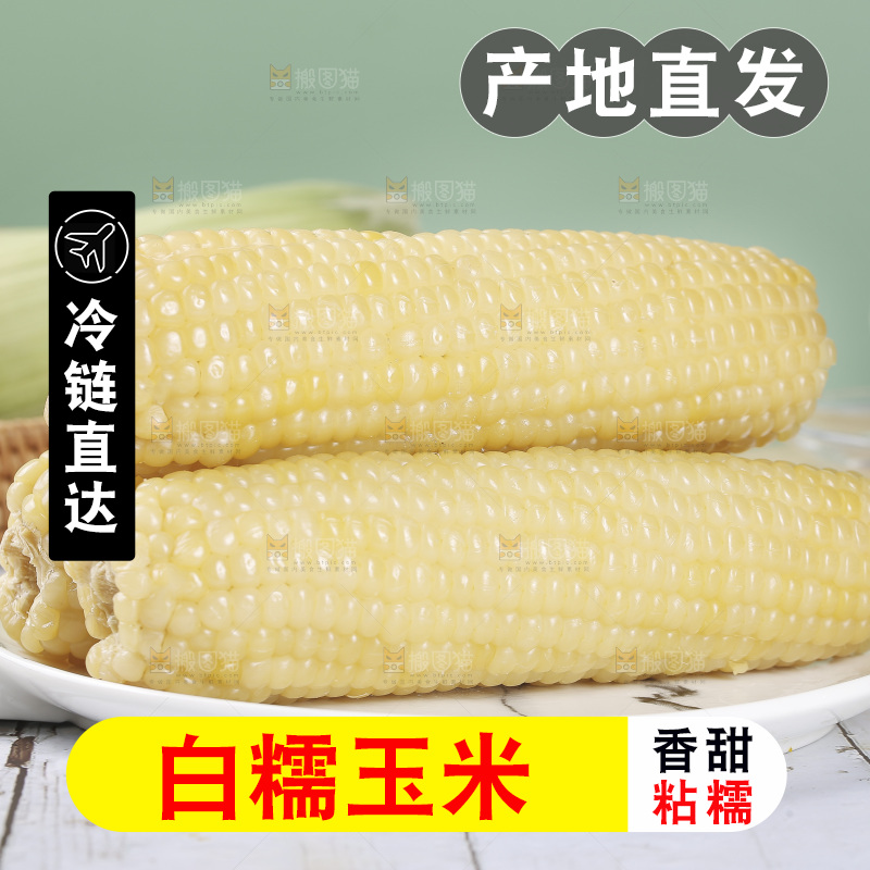 一盘白糯玉米