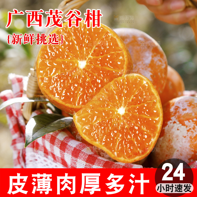手里提着一篮茂谷柑