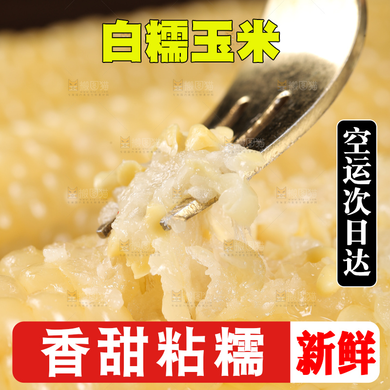 新鲜的甜糯玉米