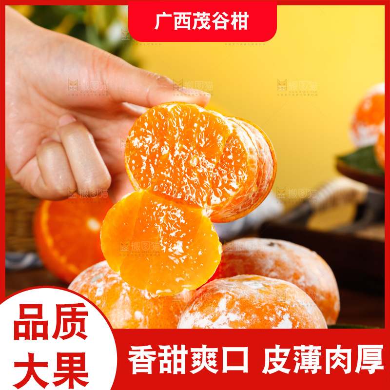 手里拿着茂谷柑