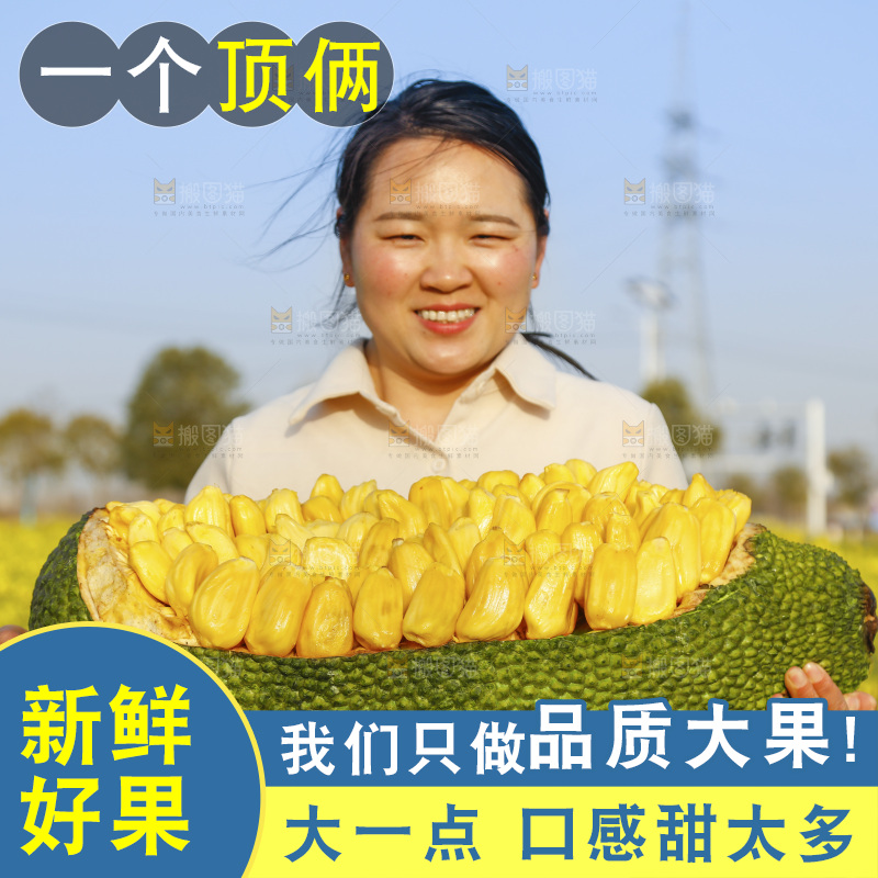 手里抱着黄心菠萝蜜