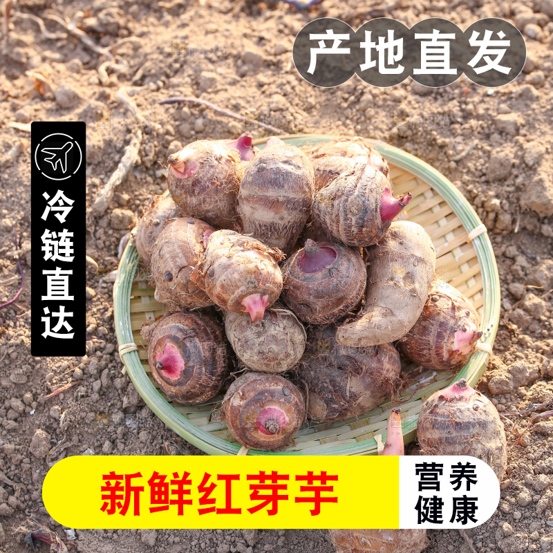 一篮红芽小芋头