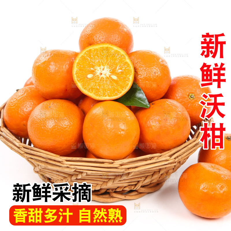一篮新鲜广西沃柑