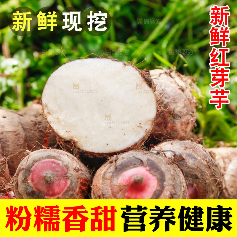 一堆新鲜红芽小芋头